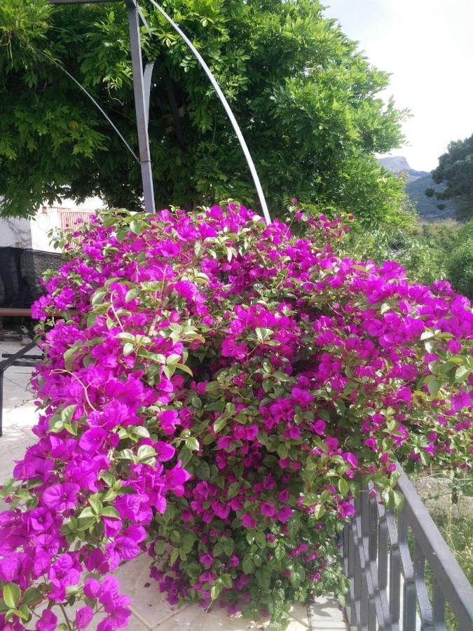 Incantevole Villa Con Vista Mozzafiato เชฟาลู ภายนอก รูปภาพ
